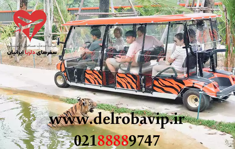 فضاهای آموزشی باغ وحش ببرها پاتایا