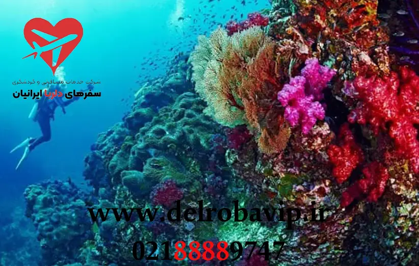 نکات مهم برای غواصی ایمن در پوکت