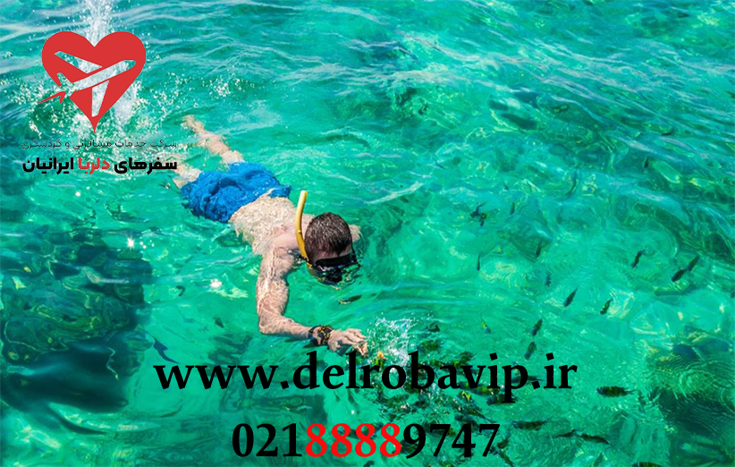 نکاتی برای انتخاب بهترین تور فی فی خرداد