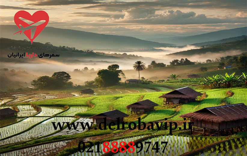 چرا تور گردشگری تایلند محبوب است؟